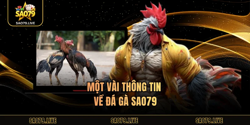 Đá Gà Sao79 - Hấp Dẫn Với Đa Dạng Trận Chọi Kịch Tính Một vài thông tin về đá gà Sao79